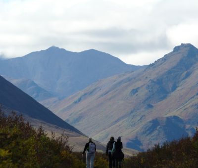 Les Pyrénées