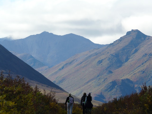 Les Pyrénées