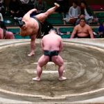 Le Sumo