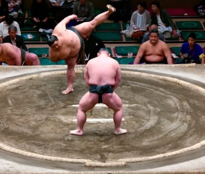 Le Sumo